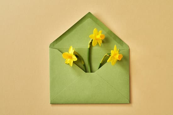 canva yellow daffodil flowers in an envelope MAEky5NEKqE