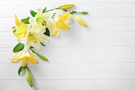 canva yellow lily flowers on light wooden background MAD Q0P6AhE
