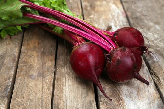 canva young beets on wooden table MAD MSCKWSA