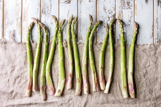 canva young green asparagus MADR qG0mmc