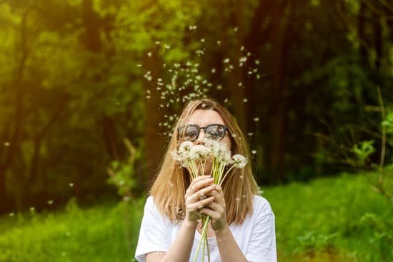 canva young woman blowing dandelions in the summer park MAD a1RP9Bs