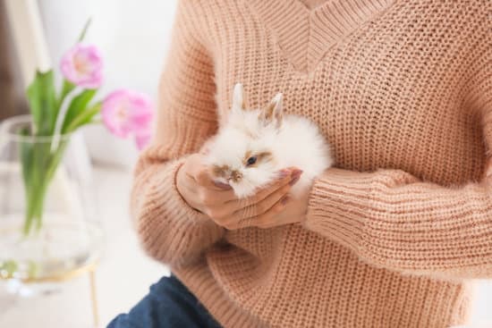 canva young woman with cute rabbit at home MAEYLLaQge8