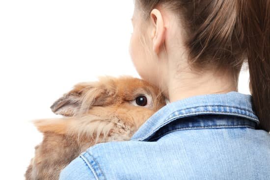 canva young woman with pet rabbit on white background MAD8SoE4P U