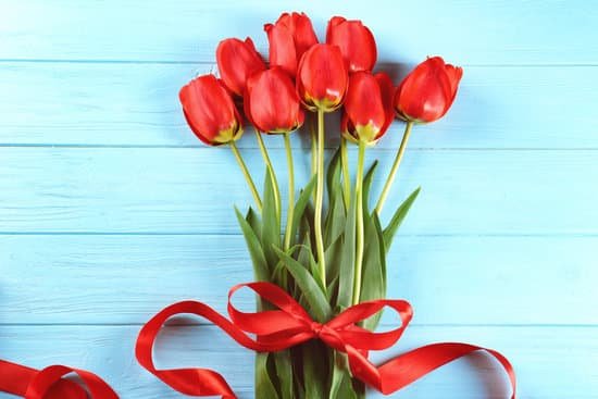 canva a bouquet of red tulips tied with a ribbon MAD9auf XtA