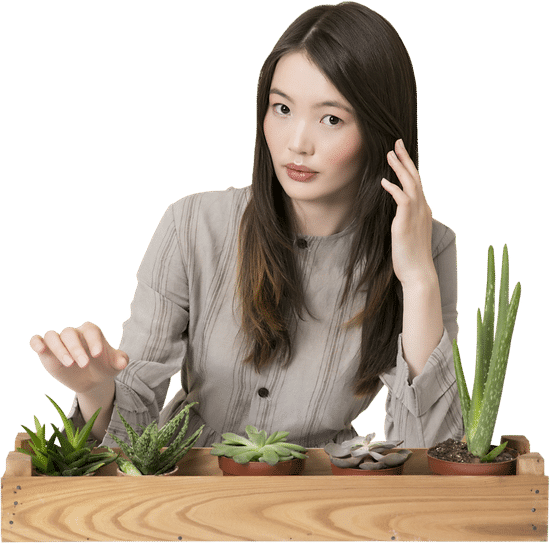 canva a woman with her succulent plants MAD8 O6NQEE