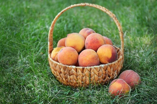 canva basket of fresh peaches on a green grass MAD Q0T0Iec