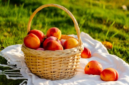 canva basket of peaches MAErKlq8GYI