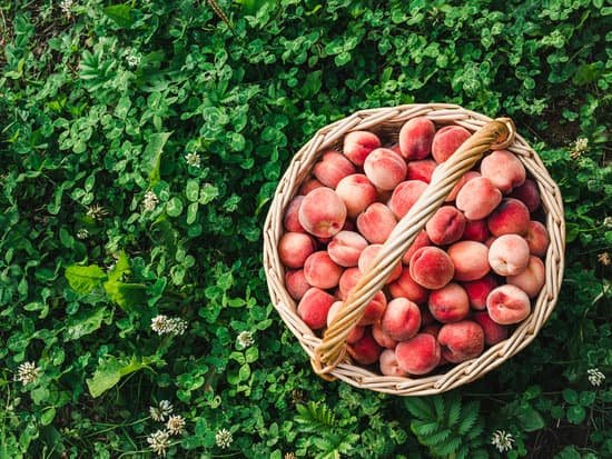 canva basket with ripe juicy peaches