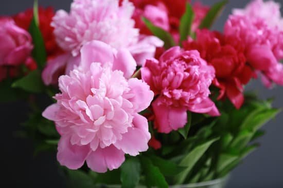 canva beautiful bouquet of peonies close up MAD Q45FmHw