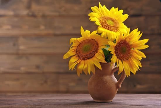 canva beautiful bright sunflowers in a pitcher on wooden background MAD MmntVo4