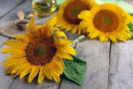 canva beautiful bright sunflowers on wooden table MAD