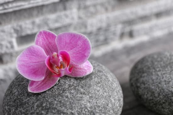 canva beautiful composition of pebbles and orchid close up MAD QlRtzFY
