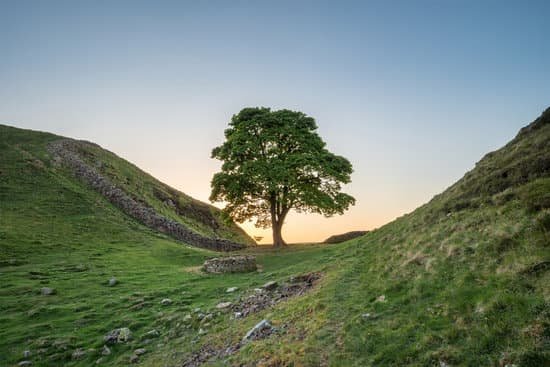 canva beautiful landscape image of sycamore gap at hadrians wall in n MAC 3Yi0HDE