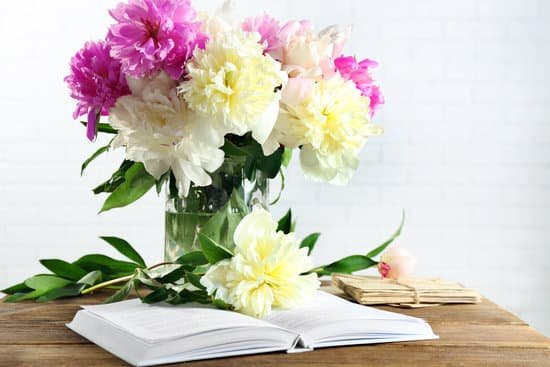 canva beautiful peony flowers and open book on white wall background MAD Q7UKDp4