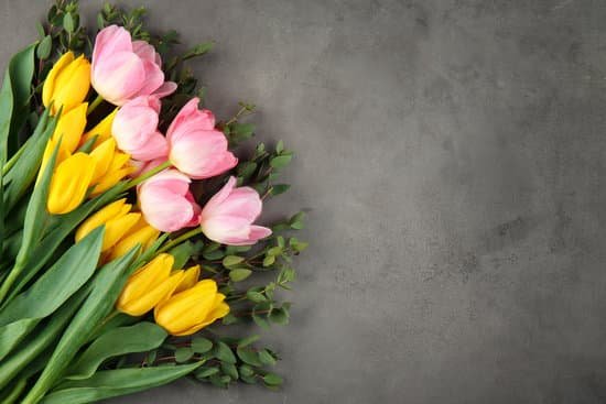 canva beautiful pink and yellow tulips MAD9arXccJ0