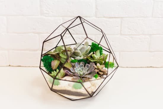 canva beautiful succulent terrarium MAEMWmktf w