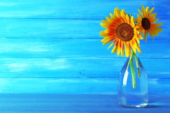 canva beautiful sunflowers in vase on wooden background MAD MrHeyig
