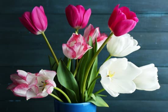 canva beautiful tulips in a vase MAD Mbswn78