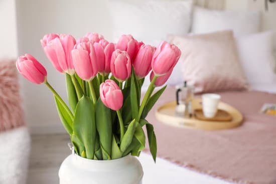 canva beautiful tulips in interior of bedroom MAD6rDQGOi8