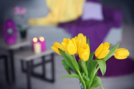canva beautiful yellow tulips on a blurred background MAD9abd34yo
