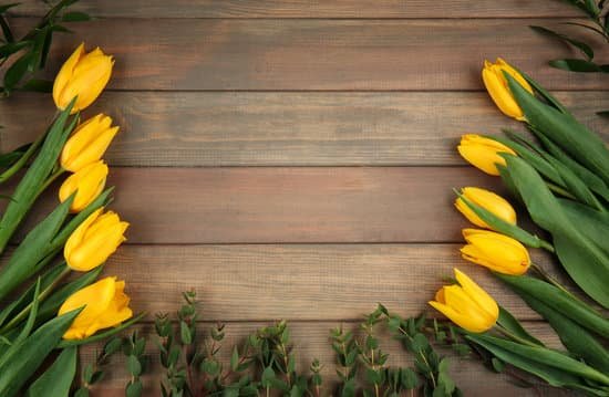 canva beautiful yellow tulips on wooden background MAD9alX0hPs