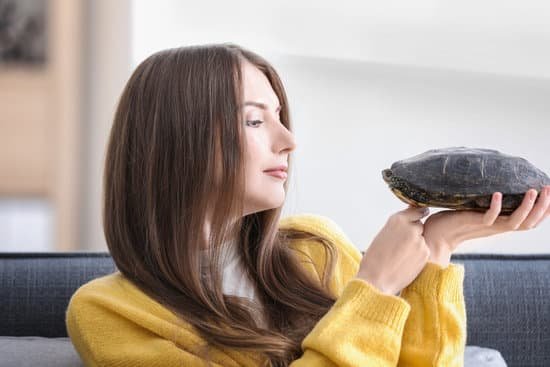 canva beautiful young woman with pet turtle at home MAD8SgHAN Y