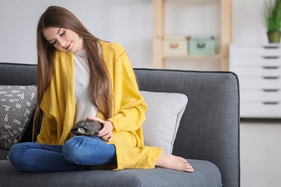 canva beautiful young woman with pet turtle on sofa at home MAD8SkR 9Fg