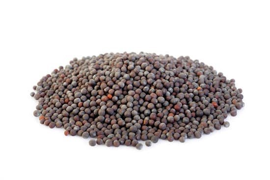 canva black mustard seeds MADBcdXR0DI