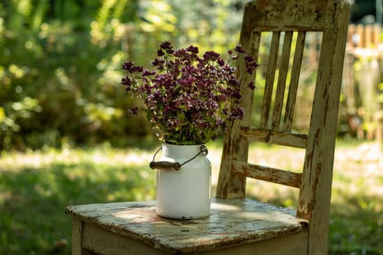 canva blooming oregano twigs on a chair in a garden MAEkB AGgd4