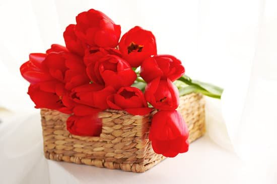 canva bouquet of fresh tulips in a basket MAD MclWRdk