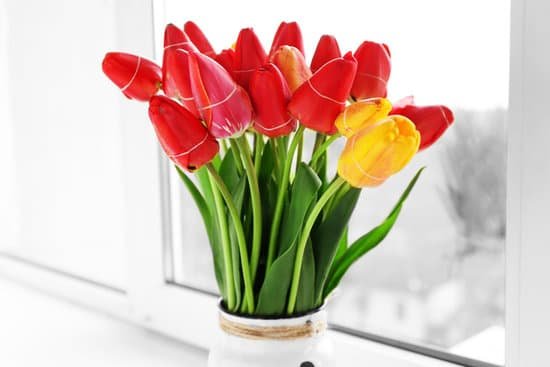 canva bouquet of fresh tulips on windowsill MAD MfiLdsE