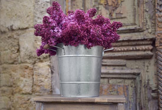 canva bouquet of lilac in metal bucket MAD QqFv6mg