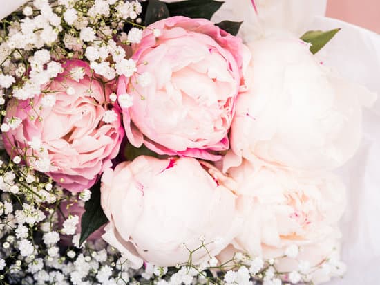 canva bouquet of pastel pink peonies MAEO qcdKXc