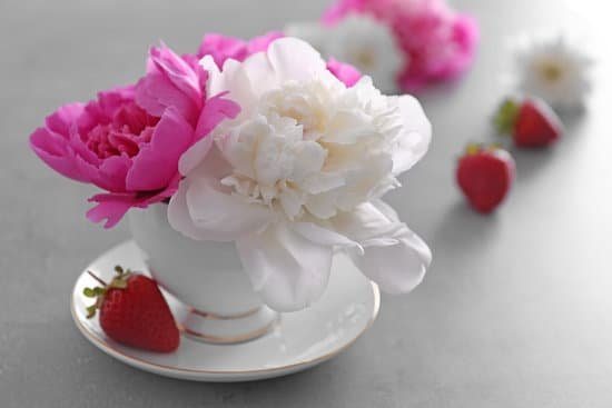 canva bouquet of peonies in cup and strawberries on table MAD Q2 akuY