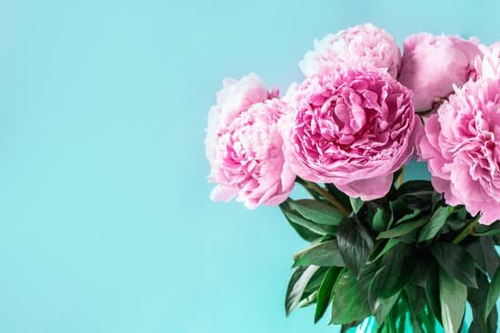 canva bouquet of peonies on blue background MAEGCG0Dh2A