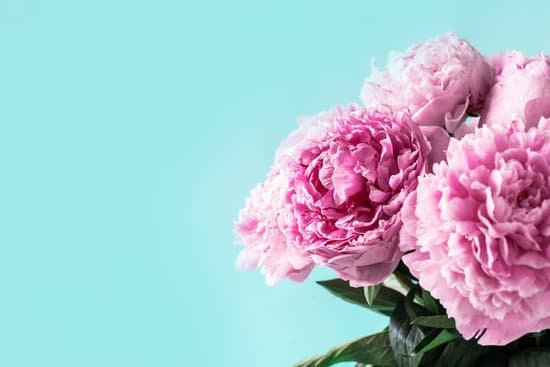 canva bouquet of peony flowers on blue background MAEGCM3y9qM