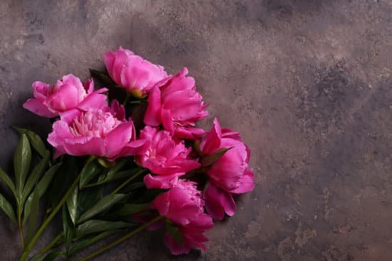 canva bouquet of pink peonies MAD 3cKz3ks