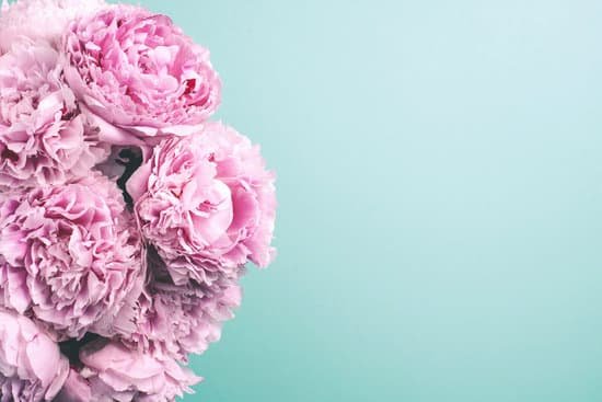 canva bouquet of pink peonies on blue background MAEGyTuRq 4