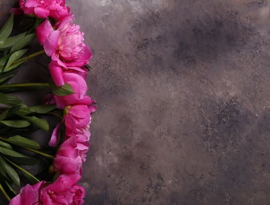 canva bouquet of pink peonies on concrete background MAD 3Q9k ZI