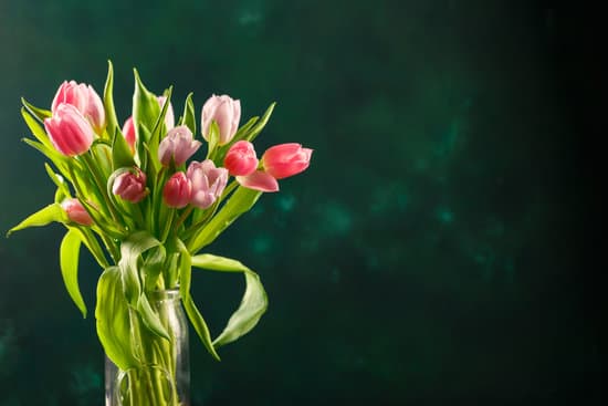 canva bouquet of pink tulips MAEQM7CpX3c