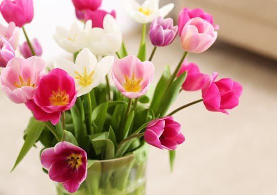 canva bouquet of tulips in a vase MAD Ql z8Qk