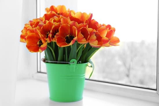 canva bouquet of tulips in metal bucket on windowsill MAD MQb7BAM