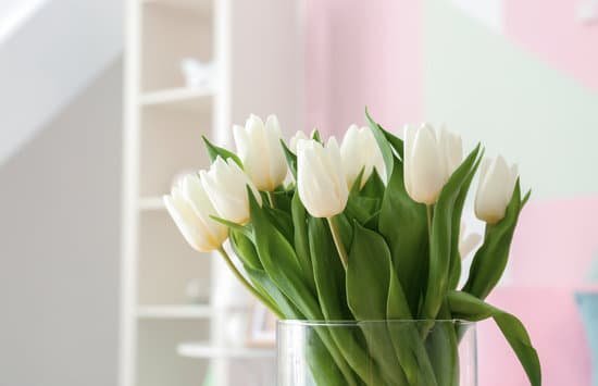 canva bouquet of tulips in vase MAD7RB8j3WA