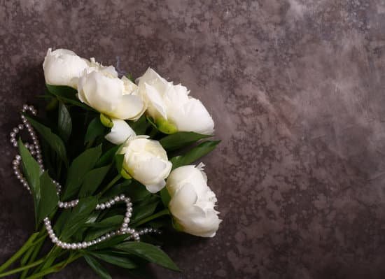 canva bouquet of white peonies on concrete background