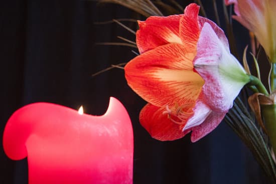 canva candle and orchid MAEFj1 viWU