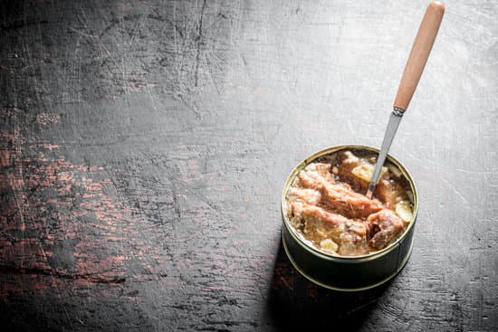 canva canned meat with a spoon. MAEQJrtq1AA