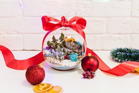 canva christmas succulents with ornaments MAEMWhcBNzs