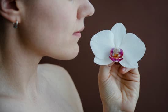 canva close up of a woman with an orchid flower MAEEBTvpsfs