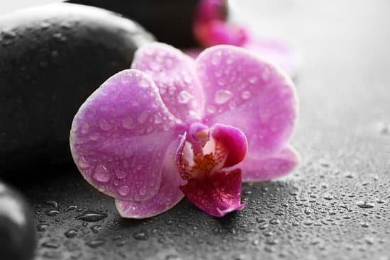 canva closeup of spa stones and orchids MAD QuG4 Ng