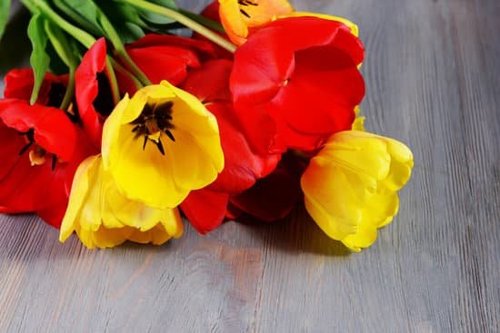 canva colorful tulips on wooden table closeup MAD MbFrdHQ